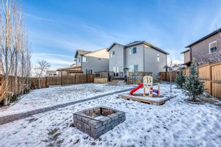 Photo 39: 51 Sage Berry Place NW in Calgary: Sage Hill Detached for sale : MLS®# A2019788