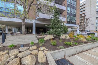 Photo 40: 2C 133 25 Avenue SW in Calgary: Mission Apartment for sale : MLS®# A1221826