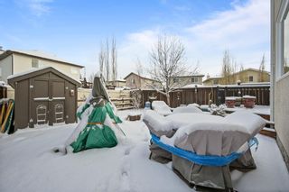 Photo 39: 407 Eversyde Way SW in Calgary: Evergreen Detached for sale : MLS®# A1182576