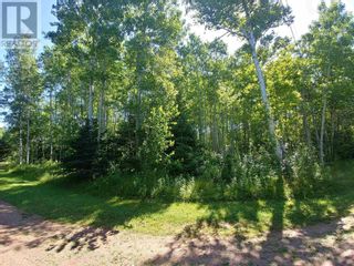 Photo 10: Lot 6 Birch Lane in Georgetown Royalty: Vacant Land for sale : MLS®# 202216489