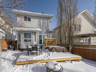 Photo 22: 2087 Country Hills Circle NW in Calgary: Country Hills Detached for sale : MLS®# A1187013