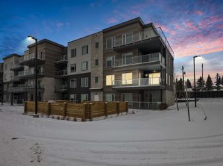 Main Photo: 215 200 Shawnee Square SW in Calgary: Shawnee Slopes Apartment for sale : MLS®# A2117336