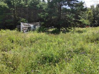 Photo 5: 1817 Northwest Road in Blockhouse: 405-Lunenburg County Vacant Land for sale (South Shore)  : MLS®# 202318168