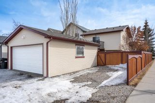 Photo 43: 3 Cranberry Square SE in Calgary: Cranston Detached for sale : MLS®# A2037787