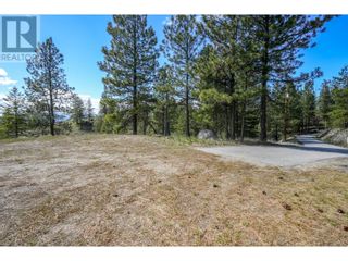 Photo 17: 222 Grizzly Place in Osoyoos: Vacant Land for sale : MLS®# 10310334