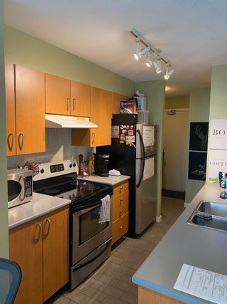 Photo 6: 401 1295 RICHARDS Street in Vancouver: Downtown VW Condo for sale (Vancouver West)  : MLS®# R2714755