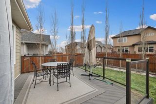 Photo 30: 41 Elgin Estates View SE in Calgary: McKenzie Towne Detached for sale : MLS®# A2117092