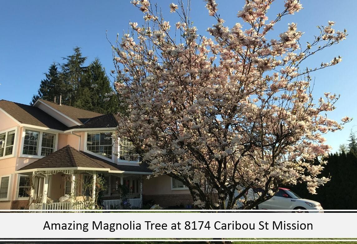 Main Photo: 8174 CARIBOU Street in Mission: Mission BC House for sale : MLS®# R2620451