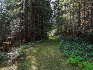 Photo 20: 5999 FORBIDDEN PLATEAU ROAD in COURTENAY: CV Courtenay West House for sale (Comox Valley)  : MLS®# 787510