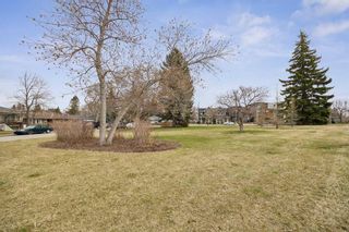 Photo 29: 41A Rosetree Road NW in Calgary: Rosemont Semi Detached (Half Duplex) for sale : MLS®# A2128935