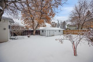 Photo 29: 1413 21 Avenue NW in Calgary: Capitol Hill Detached for sale : MLS®# A2020889