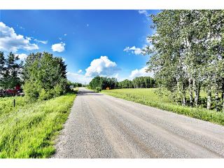 Photo 41: 434019 192 Street: Rural Foothills M.D. House for sale : MLS®# C4073369