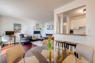 Photo 14: 303 607 7 Avenue NE in Calgary: Renfrew Apartment for sale : MLS®# A2033863