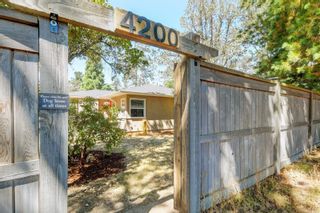 Photo 45: 4200 Cedar Hill Rd in Saanich: SE Mt Doug House for sale (Saanich East)  : MLS®# 913969
