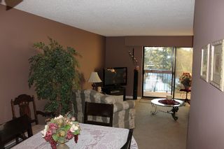 Photo 11: 308 33490 COTTAGE Lane in Abbotsford: Central Abbotsford Condo for sale in "Cottage Lane" : MLS®# R2130525