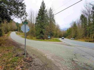 Photo 5: 4160 SLESSE Road in Chilliwack: Chilliwack River Valley Land for sale (Sardis)  : MLS®# R2586861