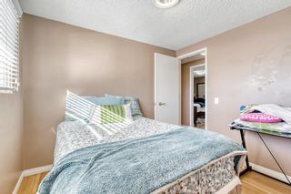 Photo 17: 4220 Maryvale Drive NE in Calgary: Marlborough Detached for sale : MLS®# A2027975