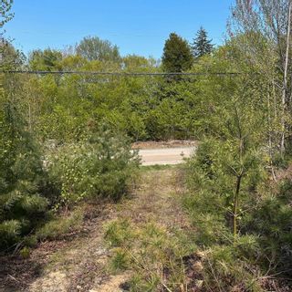Photo 18: Lot 9EF-2 Raspberry Court in Italy Cross: 405-Lunenburg County Vacant Land for sale (South Shore)  : MLS®# 202309685