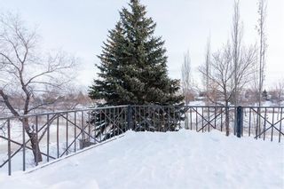 Photo 31: 123 Willow Point Road in Winnipeg: Southdale Residential for sale (2H)  : MLS®# 202300378
