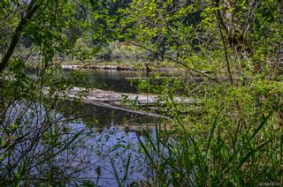 Photo 4: 05 Meadowbrook Rd in Saanich: SW Prospect Lake Land for sale (Saanich West)  : MLS®# 727476