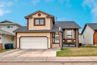 Main Photo: 132 Whitlow Place NE in Calgary: Whitehorn Detached for sale : MLS®# A2126074
