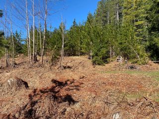 Photo 12: 602 Scout Lake Rd in Gold River: NI Gold River Land for sale (North Island)  : MLS®# 903161
