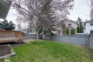 Photo 45: 121 Douglas Glen Gardens SE in Calgary: Douglasdale/Glen Detached for sale : MLS®# A2125604