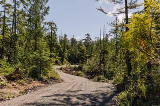 Photo 8: LOT 4 Hawkes Rd in Ucluelet: PA Ucluelet Land for sale (Port Alberni)  : MLS®# 942782