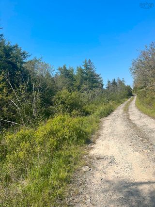 Photo 2: Lot Killam Road in Hillview: County Hwy 1 Vacant Land for sale (Yarmouth)  : MLS®# 202310691