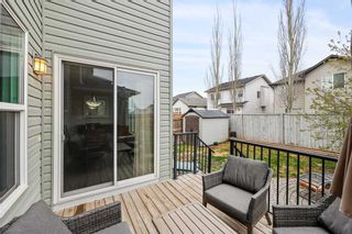 Photo 32: 1025 Brightoncrest Common SE in Calgary: New Brighton Detached for sale : MLS®# A2130128