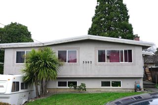 Main Photo: 3902 Olivia Pl in Saanich: SE Mt Tolmie House for sale (Saanich East)  : MLS®# 871954
