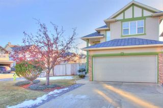 Main Photo: 113 Evansmeade Close NW in Calgary: Evanston Detached for sale : MLS®# A2100898