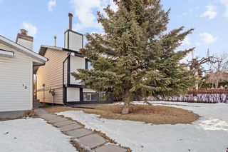 Photo 26: 10 Beaconsfield Road NW in Calgary: Beddington Heights Detached for sale : MLS®# A2024221