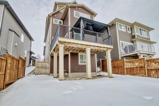Photo 41: 105 Hillcrest Drive SW: Airdrie Detached for sale : MLS®# A2033496