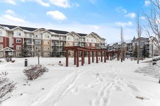 Photo 29: 6304 155 Skyview Ranch Way NE in Calgary: Skyview Ranch Apartment for sale : MLS®# A2124102