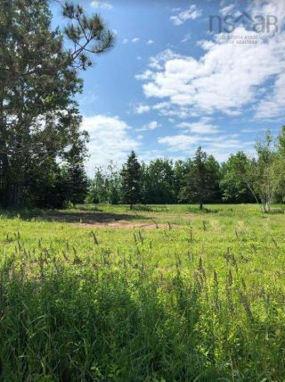 Photo 6: 81 Murphy Road in Cape John: 108-Rural Pictou County Vacant Land for sale (Northern Region)  : MLS®# 202215614