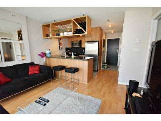 Photo 4: # 1201 1001 RICHARDS ST in Vancouver: Downtown VW Condo for sale (Vancouver West)  : MLS®# V1057318