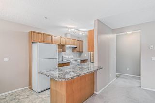 Photo 3: 246 165 Manora Place NE in Calgary: Marlborough Park Apartment for sale : MLS®# A2021263