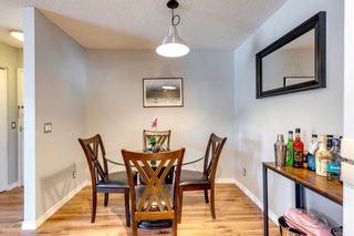 Photo 12: 11 2411 Edenwold Heights NW in Calgary: Edgemont Apartment for sale : MLS®# A2033813