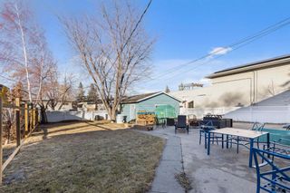 Photo 21: 6039 18A Street SE in Calgary: Ogden Detached for sale : MLS®# A1182905