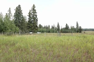 Photo 6: Twp 510 RR 33: Rural Leduc County Rural Land/Vacant Lot for sale : MLS®# E4256128