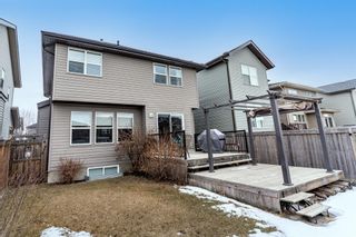 Photo 39: 76 Chaparral Valley Green SE in Calgary: Chaparral Detached for sale : MLS®# A1177719