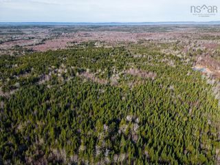 Photo 20: Lot Ridge Road in Plympton Station: Digby County Vacant Land for sale (Annapolis Valley)  : MLS®# 202227460