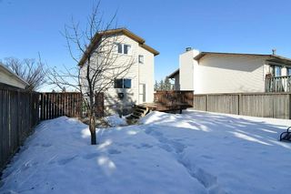 Photo 25: 139 CASTLEGLEN Road NE in Calgary: Castleridge House for sale : MLS®# C4170209