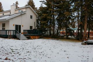 Photo 38: A809 2 Avenue: Rural Wetaskiwin County House for sale : MLS®# E4272045