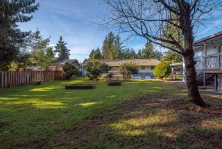 Photo 29: 33384 RAINBOW Avenue in Abbotsford: Central Abbotsford House for sale in "Moga" : MLS®# R2650233