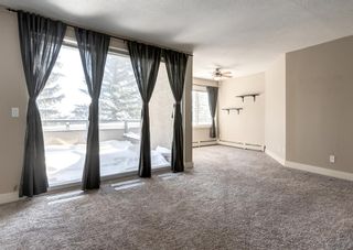 Photo 4: 5 215 Village Terrace SW in Calgary: Patterson Apartment for sale : MLS®# A2011286