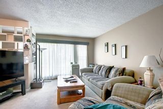Photo 1: 169 Falsby Road NE in Calgary: Falconridge Semi Detached (Half Duplex) for sale : MLS®# A1252532