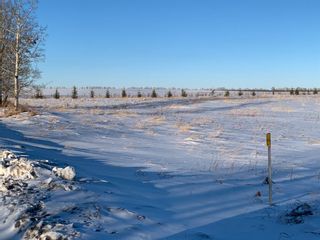 Photo 10: On Range Road 6-3: Rural Clearwater County Residential Land for sale : MLS®# A1072908