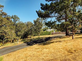 Photo 9: 3959 Cumberland Rd in Saanich: SE Maplewood Land for sale (Saanich East)  : MLS®# 953453
